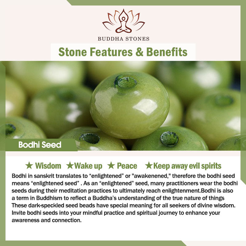 Pulsera tibetana de semilla de Bodhi cian, cuentas Dzi de cáscara de coco para mantener alejados los espíritus malignos