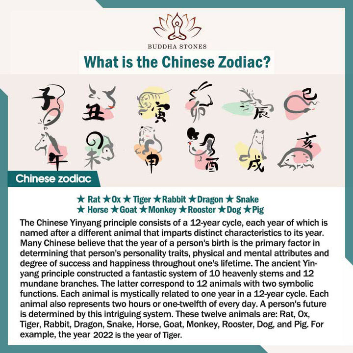 Pulsera de hilo trenzado de la suerte de plata con Buda natal del zodiaco chino de Buddha Stones - image 23