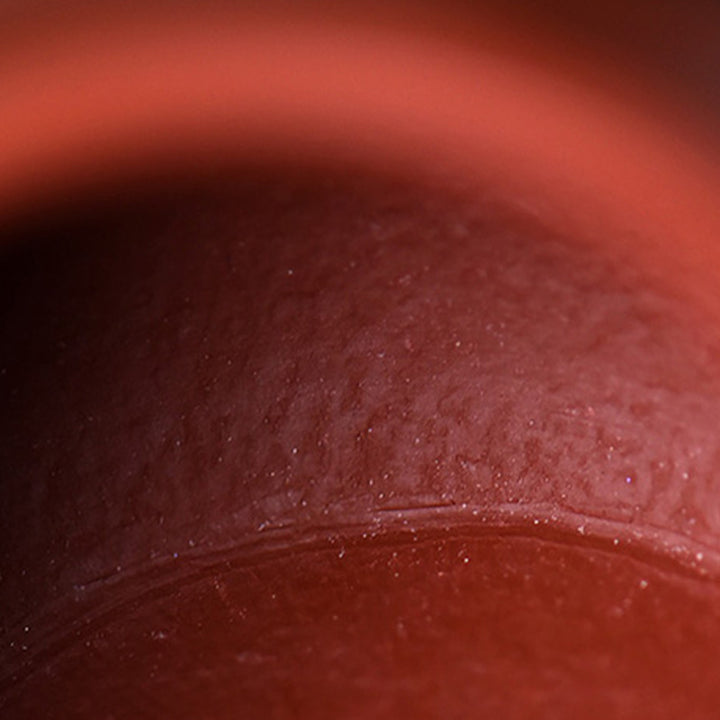 Tetera de kungfú de arcilla púrpura marrón Wen Dan hecha a mano con Buddha Stones Yixing - image 14