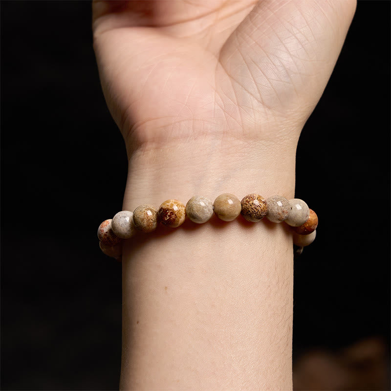 Pulsera de compasión de coral fósil con Buddha Stones