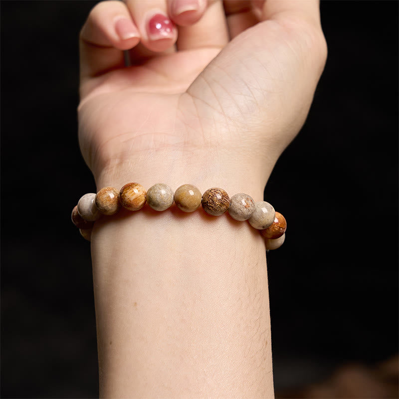 Pulsera de compasión de coral fósil con Buddha Stones