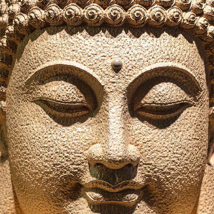 Estatua de resina con cabeza de Buda meditando y ojos cerrados, Buddha Stones de Buda, decoración zen para el hogar, 42 x 30 x 30 cm