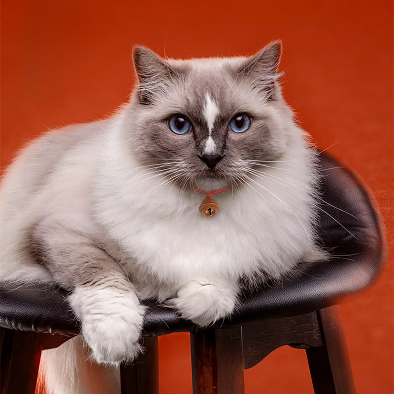 Collar para mascotas con cuentas de madera de durazno y cuerda roja de Buddha Stones, ajustable y resistente, para gatos y perros pequeños. - image 12