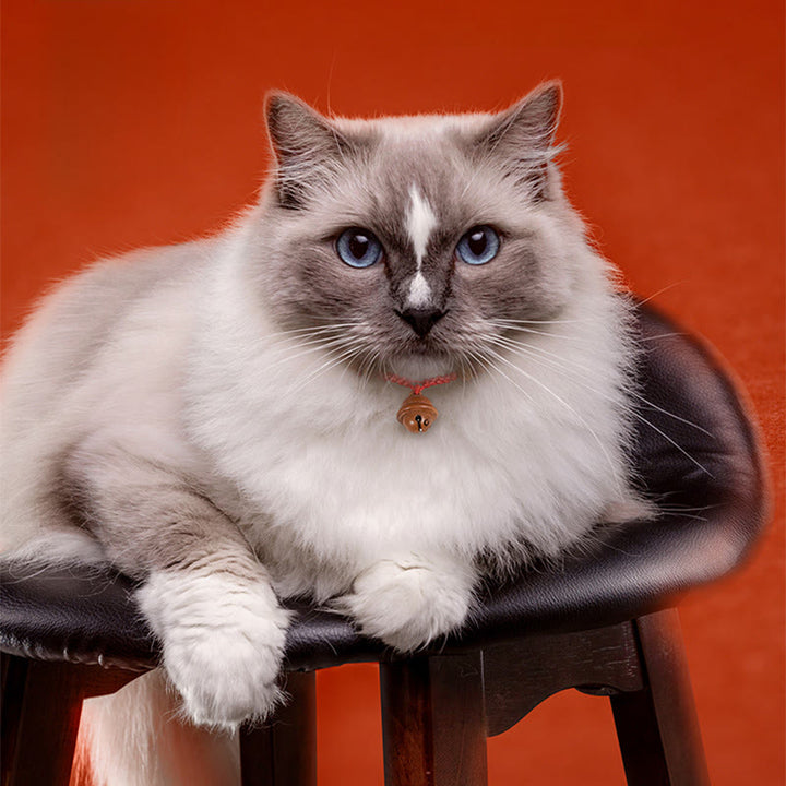 Collar para mascotas con cuentas de madera de durazno y cuerda roja de Buddha Stones, ajustable y resistente, para gatos y perros pequeños. - image 12