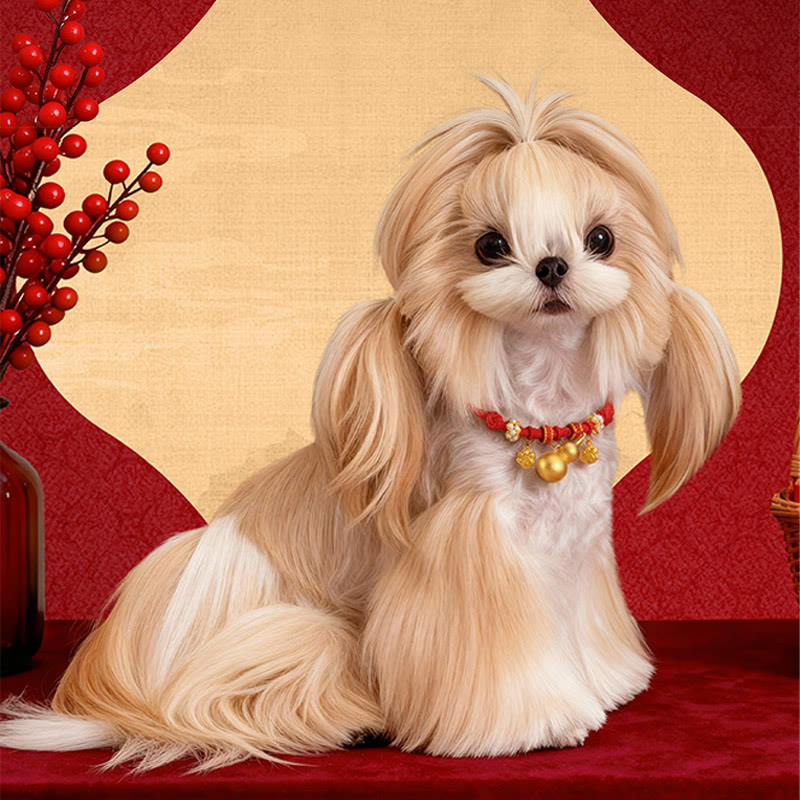 Buddha Stones Collar ajustable para mascotas con brújula, cuentas y forma de calabaza, fabricado con hilo rojo, para gatos y perros. - image 0