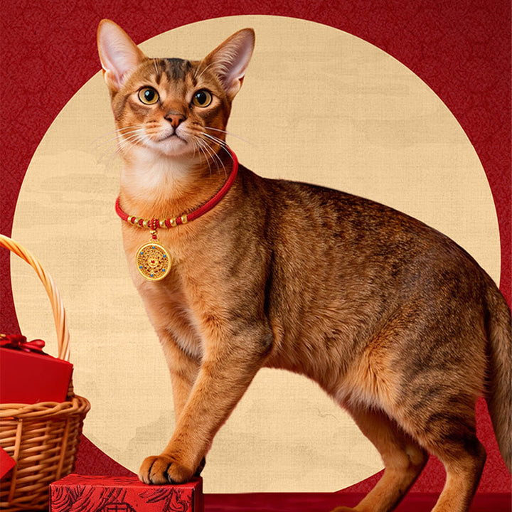 Buddha Stones Collar ajustable para mascotas con brújula, cuentas y forma de calabaza, fabricado con hilo rojo, para gatos y perros. - image 12