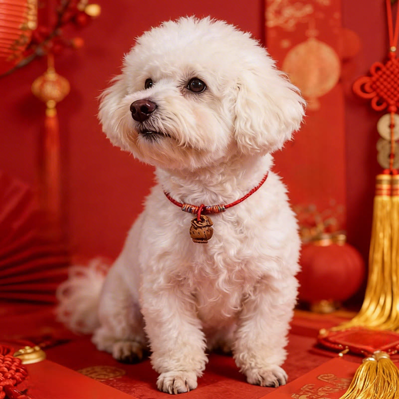Buddha Stones Collar ajustable para gatos y perros con cordón rojo trenzado de hueso de melocotón. - image 13
