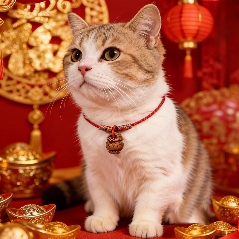Buddha Stones Collar ajustable para gatos y perros con cordón rojo trenzado de hueso de melocotón. - image 12