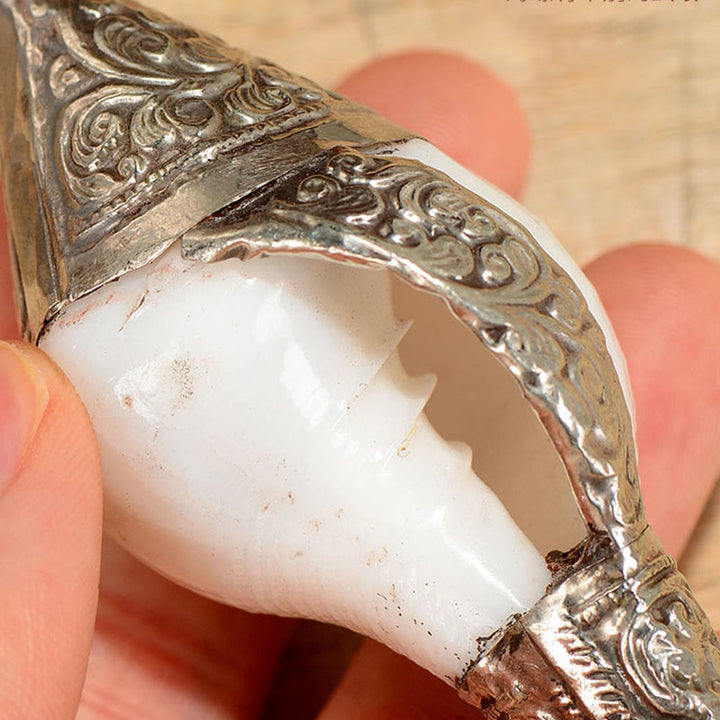 Concha de caracola Shankha Natural tibetana, concha marina, decoración del hogar de la suerte y la riqueza - image 5