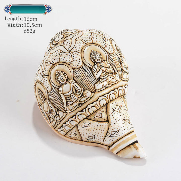 Concha tibetana hecha a mano grabada Shankha Buddha Avalokitesvara, decoración de riqueza - Cinco Budas 16*10,5 cm - image 13