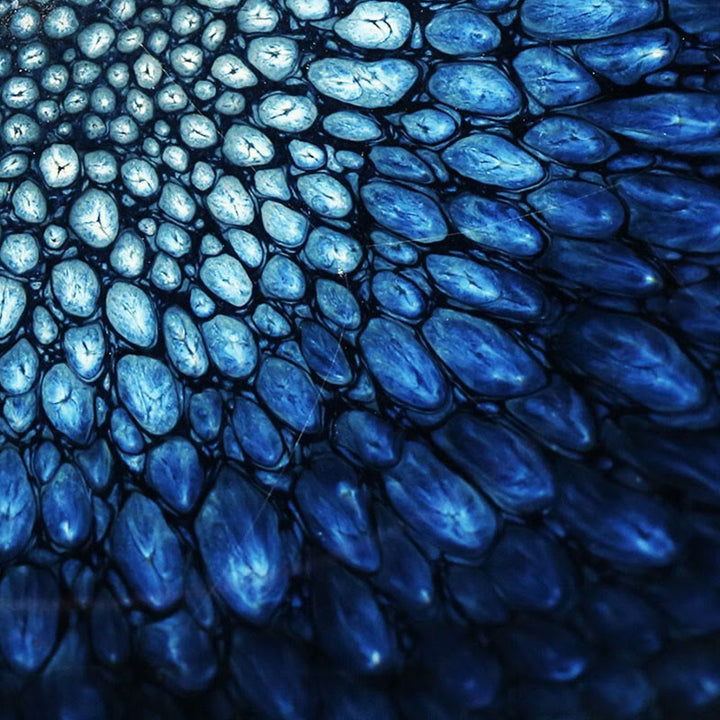 Buddha Stones hechas a mano, punto de Francolinus azul, taza de té de cerámica china Jianzhan, tazón de taza de té de Kung Fu - image 4