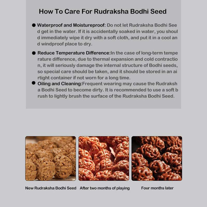 Buddha Stones Tíbet Rudraksha Bodhi Semilla Riqueza Pulsera auspiciosa
