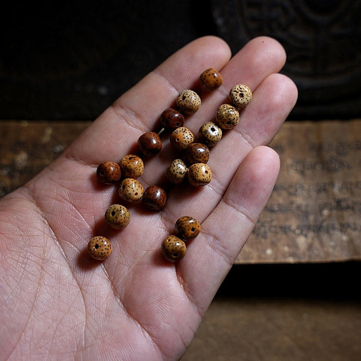 Buddha Stones tibetano Bodhi semilla ámbar Dzi cuentas ágata Zakiram diosa de la riqueza cuentas Triple envoltura pulsera