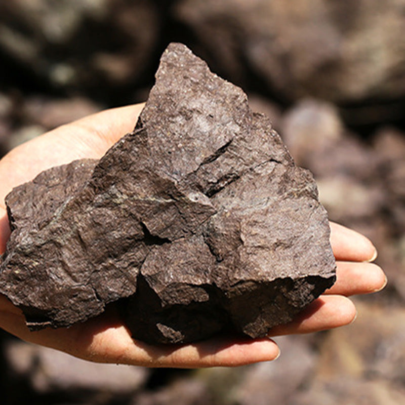 Tetera de kungfú de arcilla púrpura con dragón marrón hecha a mano de Buddha Stones Yixing, 240ml