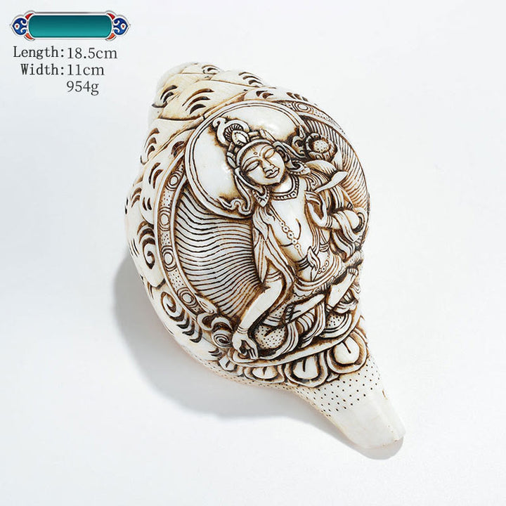 Concha tibetana hecha a mano grabada Shankha Buddha Avalokitesvara, decoración de riqueza - Tara Blanca 18,5*11cm - image 27