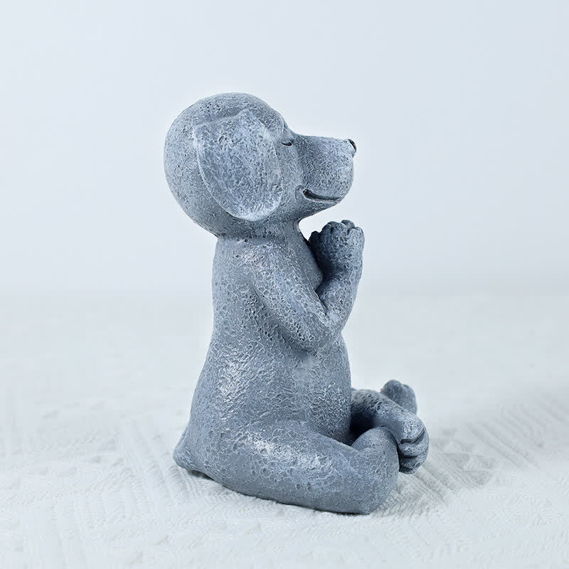 Decoración Zen Meditando Perro Gato Rana
