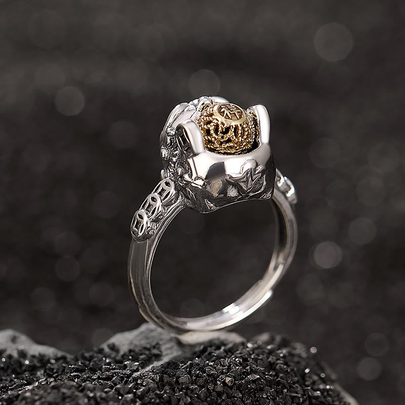 Anillo ajustable de plata de ley 925 con Buddha Stones PiXiu, moneda de cobre, riqueza