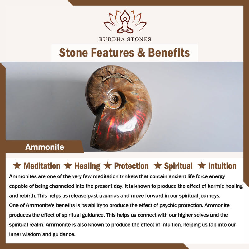 Colgante de collar curativo de meditación con patrón de caracol fósil de amonita Natural de Buddha Stones