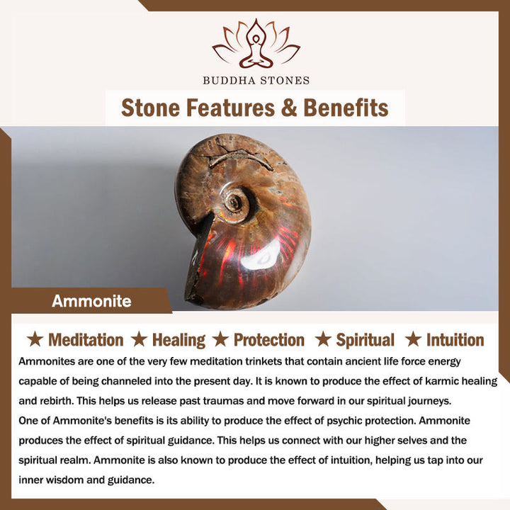 Colgante de collar curativo de meditación con patrón de caracol fósil de amonita Natural de Buddha Stones