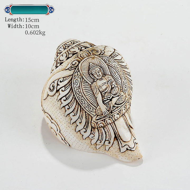 Concha tibetana hecha a mano grabada Shankha Buddha Avalokitesvara, decoración de riqueza - Sakyamuni 15*10 cm - image 7