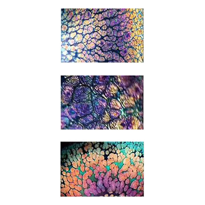 Buddha Stones hechas a mano, flores de cerezo, diseño de Sakura, taza de té de cerámica china Jianzhan, taza de té de Kung Fu