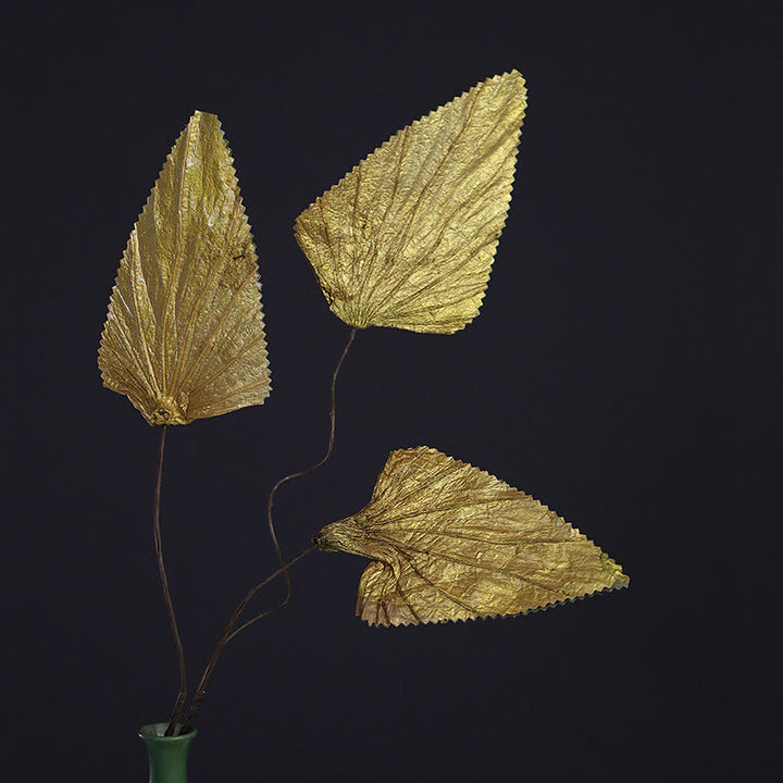 Ramo de plantas con tallo de hoja de loto triangular seco Natural, adornos para decoración del hogar - image 6