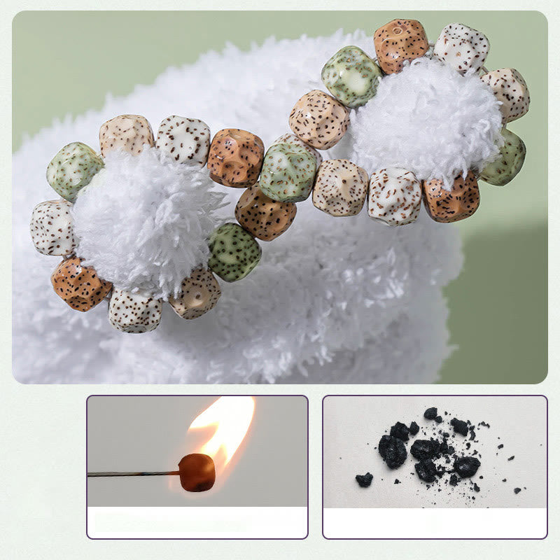 Pulsera de riqueza auspiciosa de semillas Bodhi coloridas naturales de Buddha Stones
